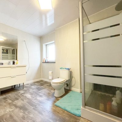 Maison à vendre à Lodelinsart - Salle de bains